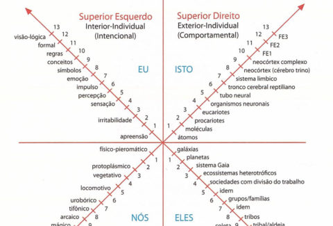 mapa_integral